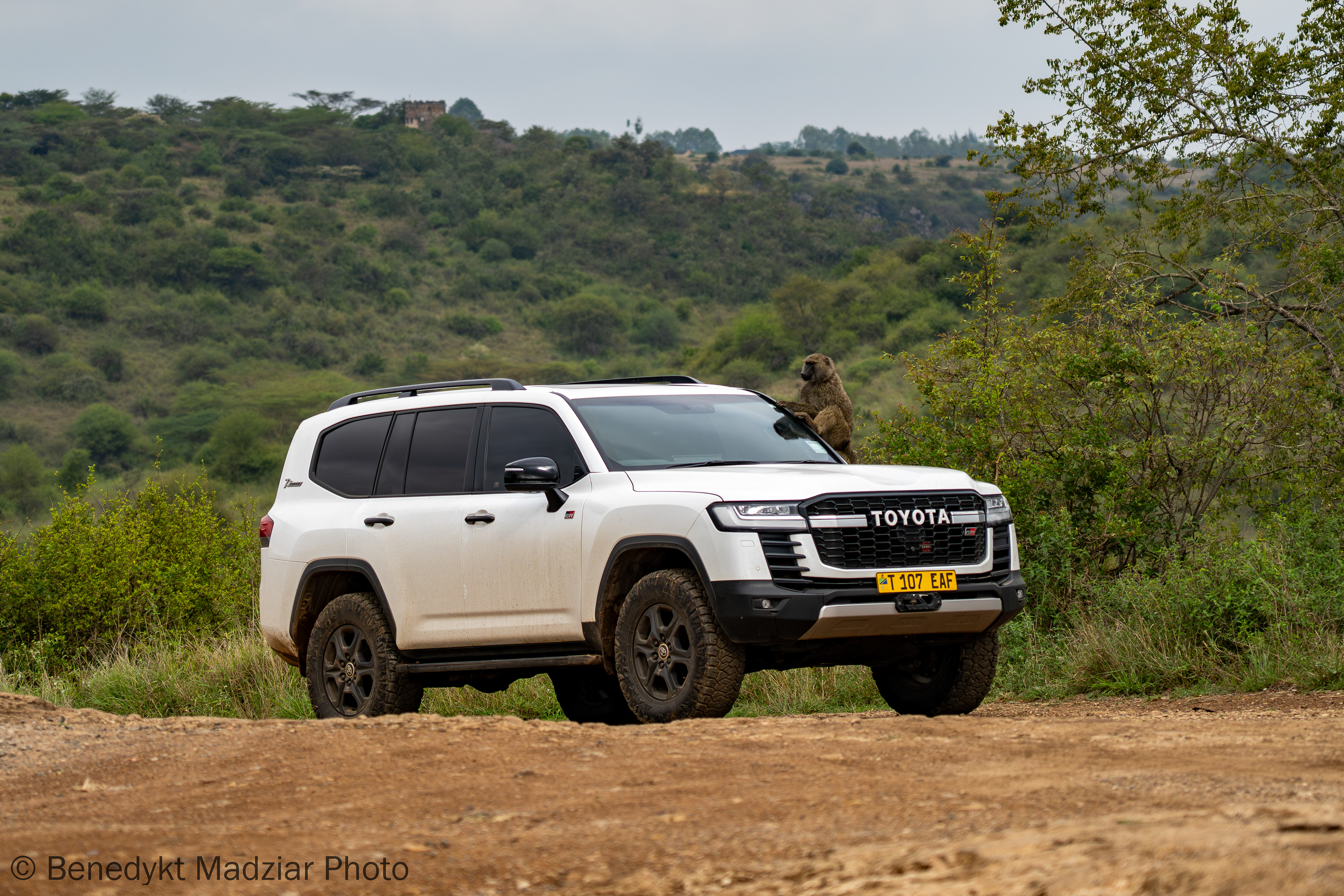 Park Narodowy Nairobi, Kenia | 2025