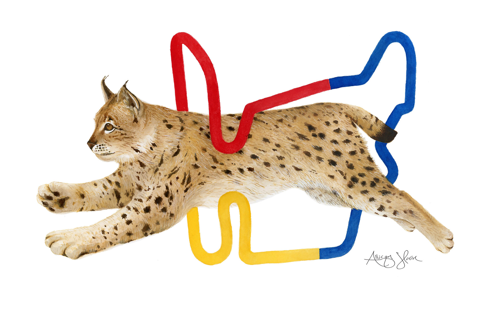 In celebration of the Hungarian Grand Prix, I painted the formidable Eurasian lynx, one of Hungary’s most skilled predators. Known for having no natural enemies and standing as one of Europe’s largest predators, the lynx exudes both power and precision, much like the drivers on the track.