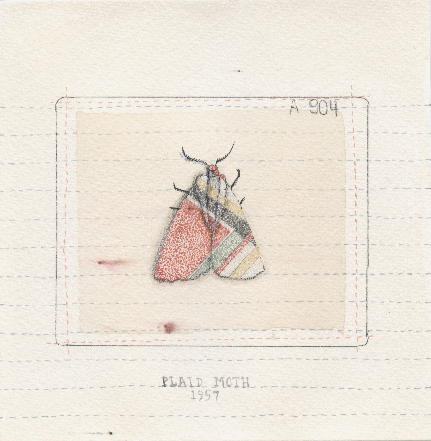 Mod Moth. Watercolor and ink on tea-stained paper. 6"x6". 2023.