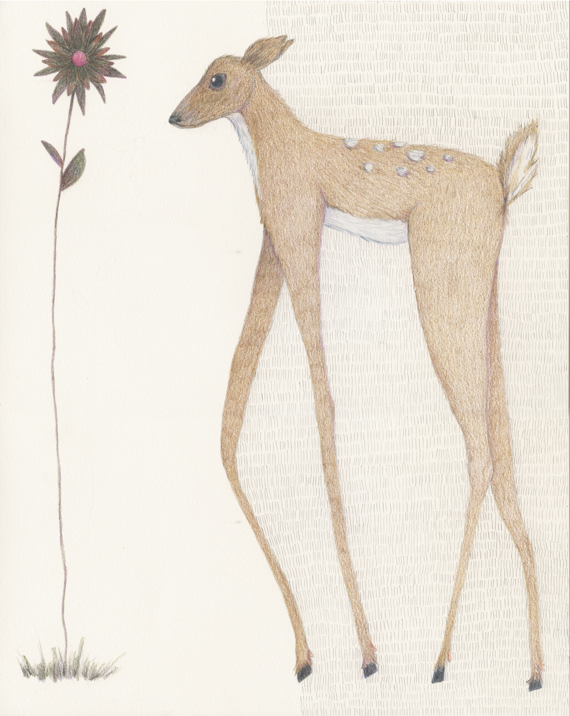 Deer Eating a Poisonous Flower. Colored pencil on paper. 11"x14". 2022.