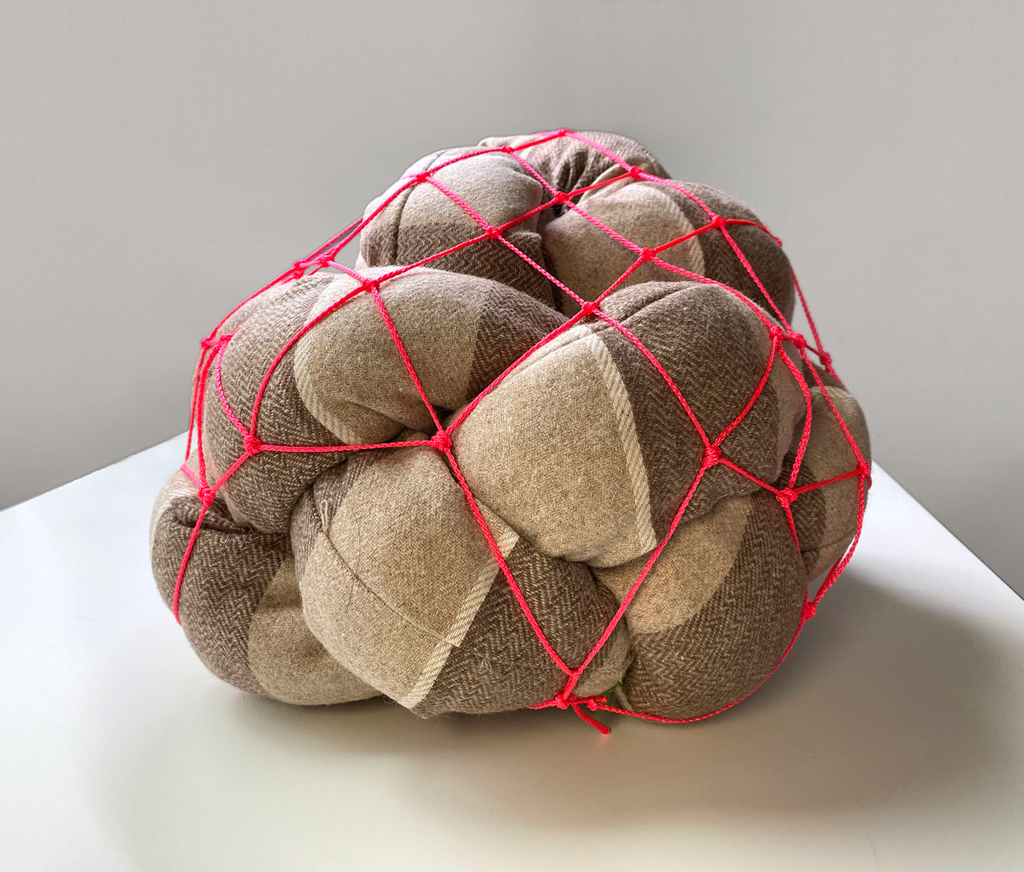 Tumor in the Wild. 2024. Fabric and netting cord. 10"x18"x10".