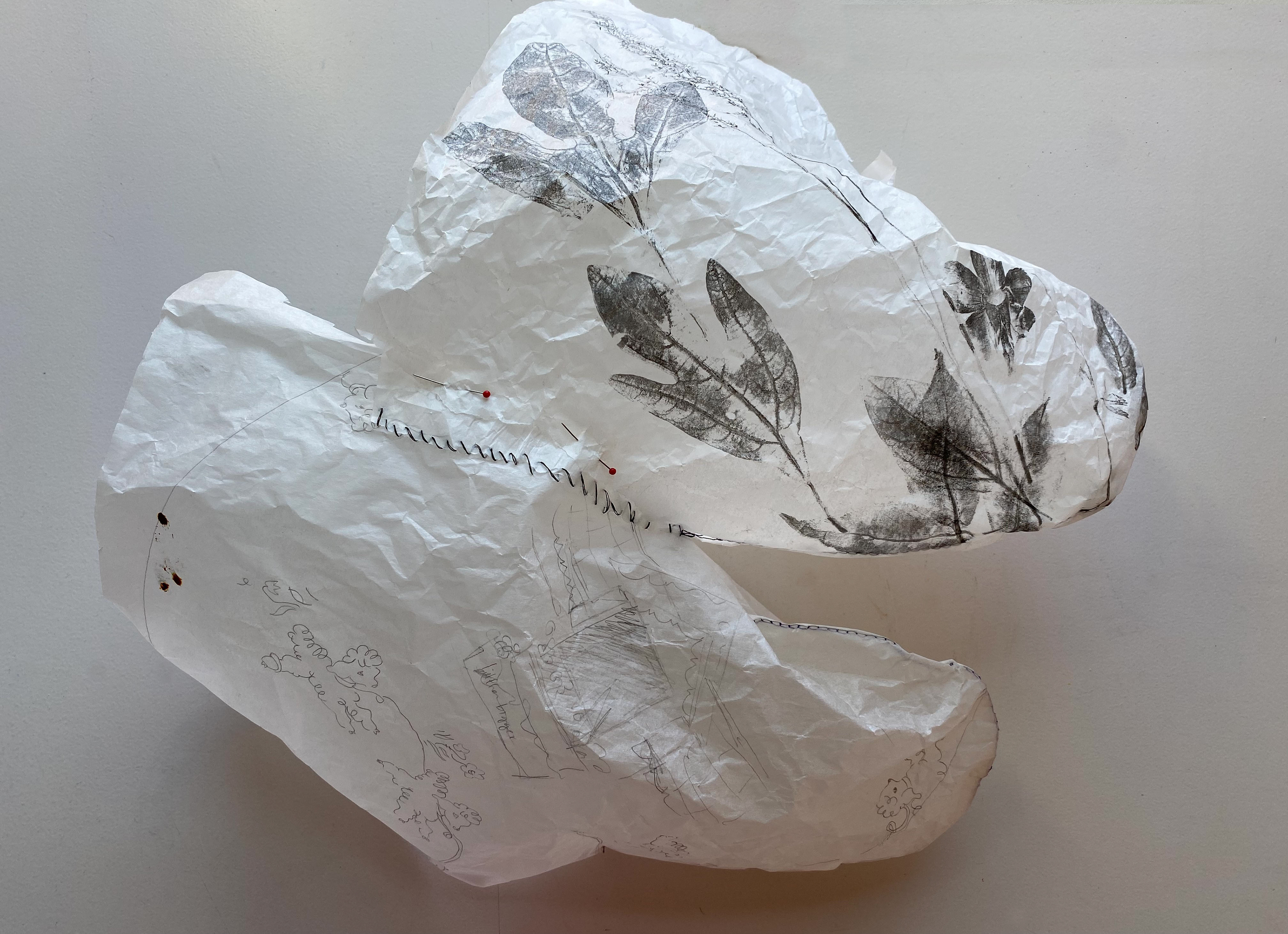 Leftovers. Pencil and botanical prints on tracing paper, thread and pins. 25"x15"x5".