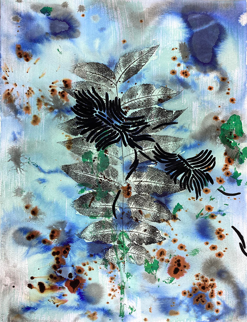 Study for a Field Guide. 2023. Watercolor, ink and botanical printon paper. 9"x12"