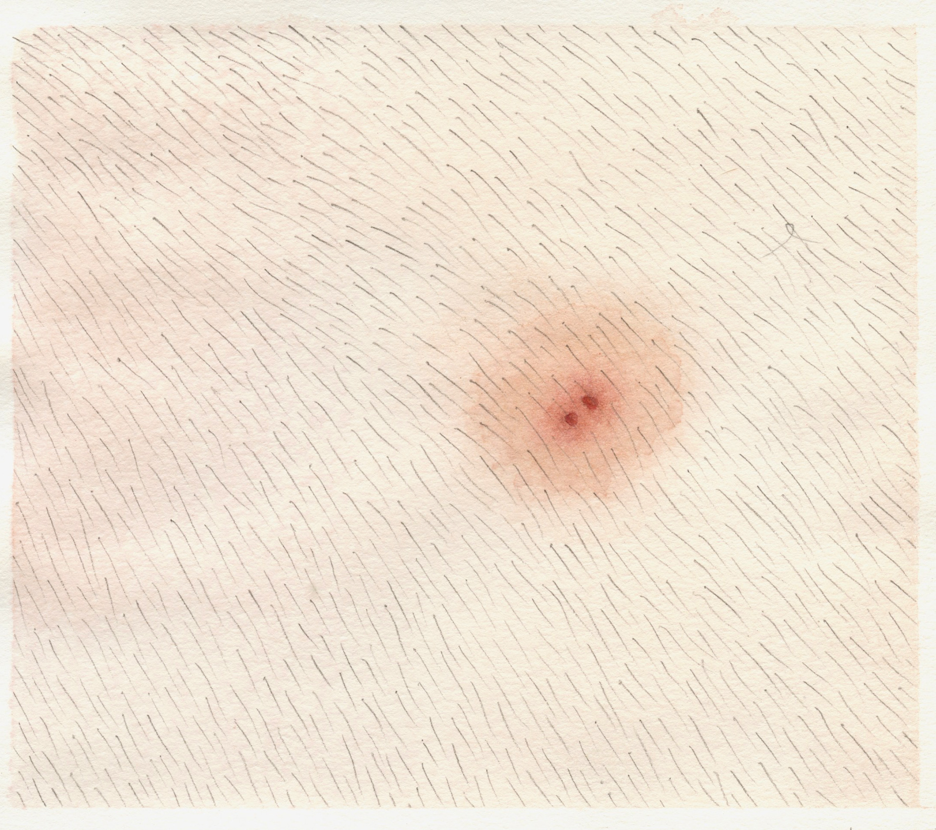 Does This Look Like a Bite to You? Watercolor on sketch paper. 8"x9". 2022.