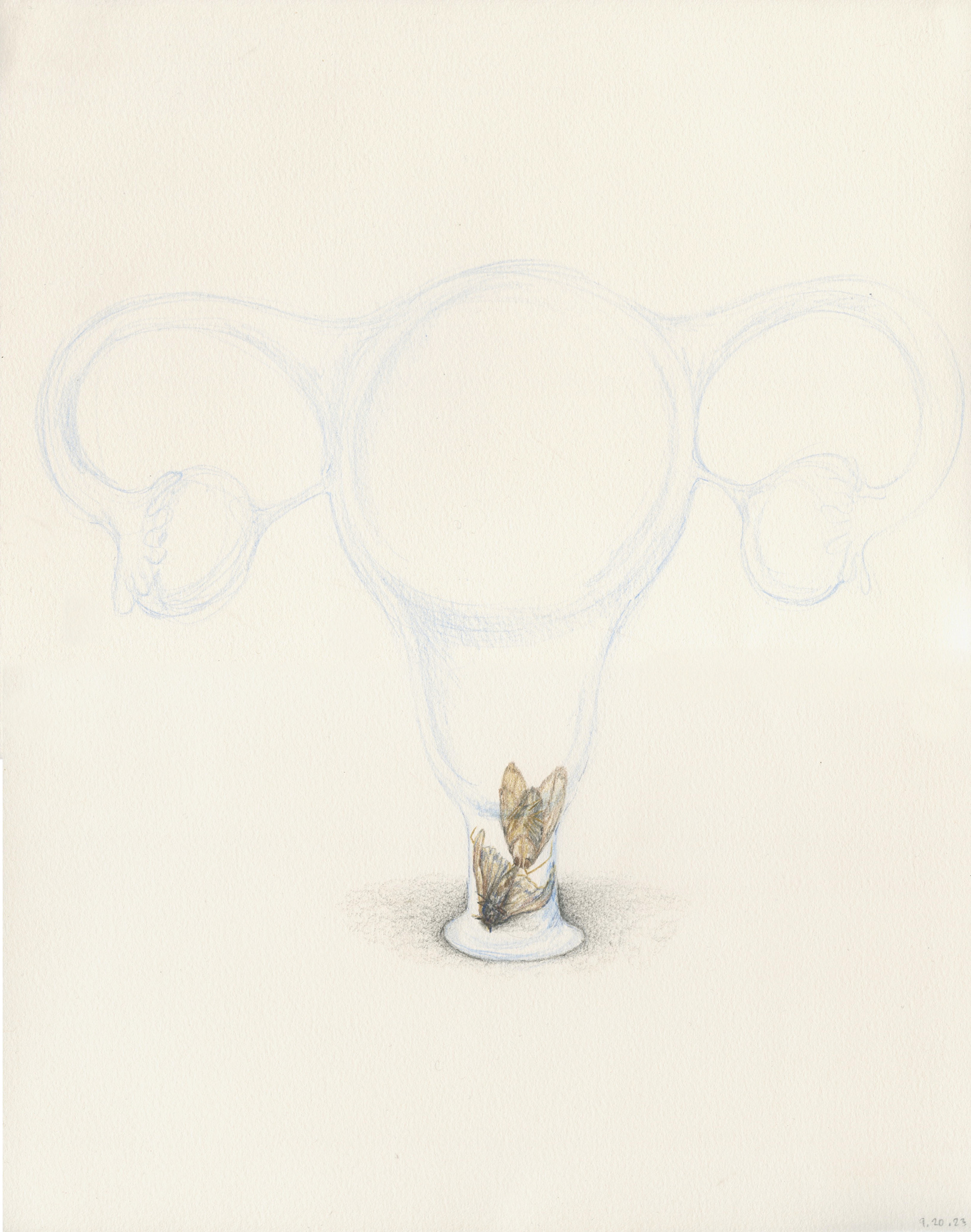 From the Series: Self Portrait, Middle Age. 2023. Graphite and colored pencil on paper. 11"x14"