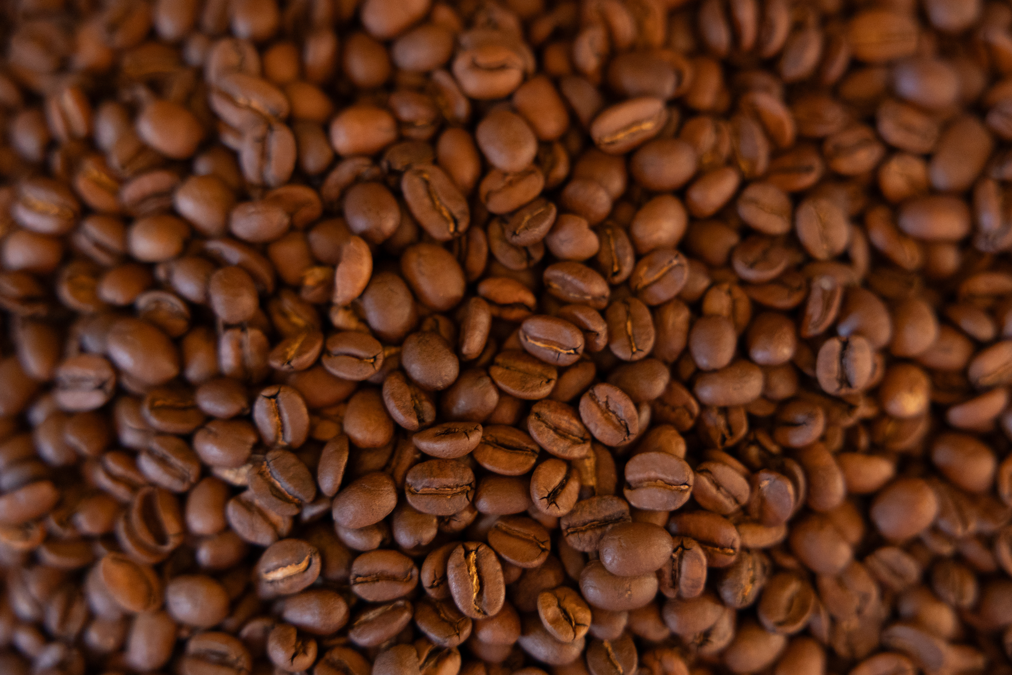 Kaffe