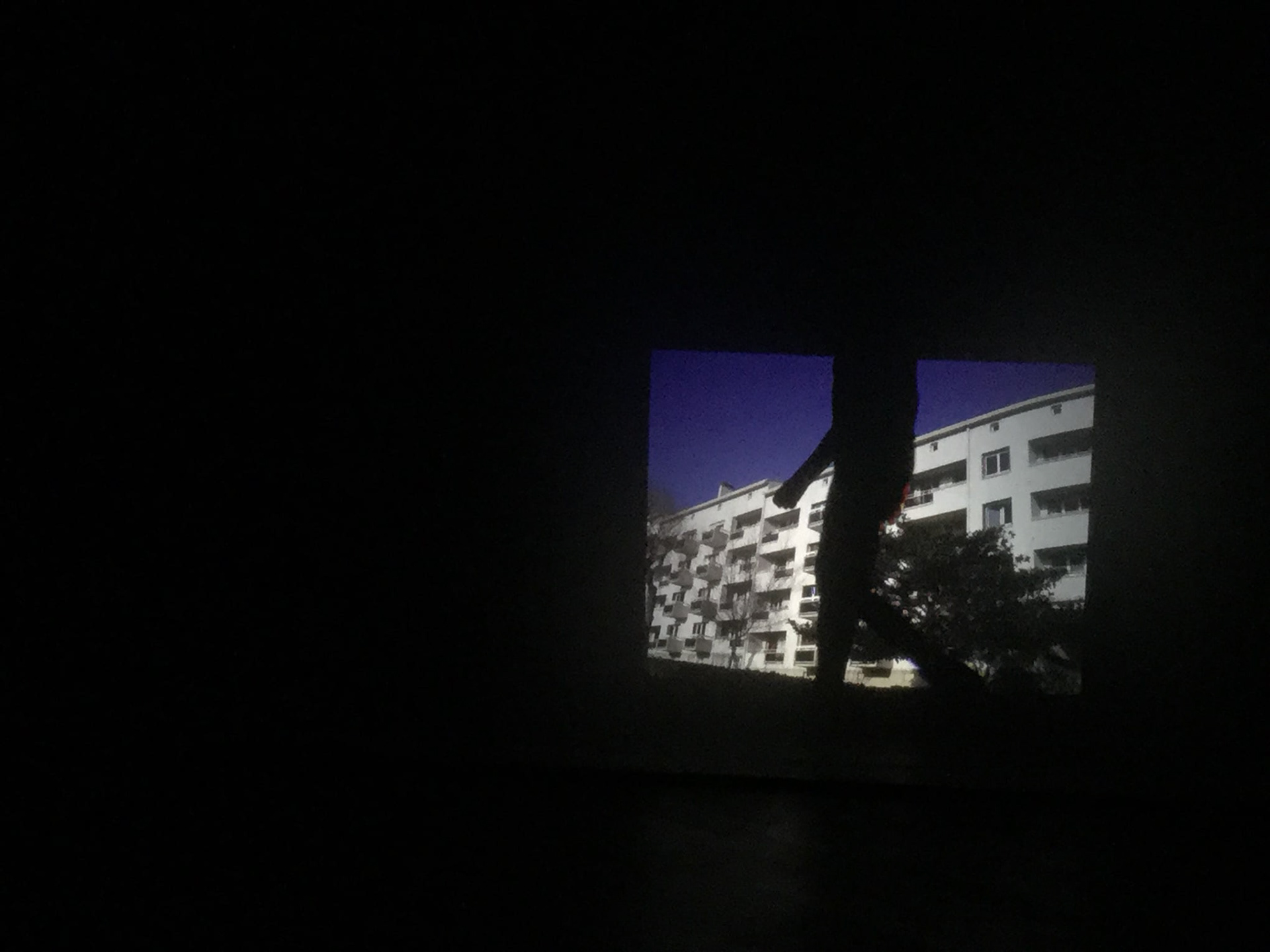 Copyright by Nermine El Ansari