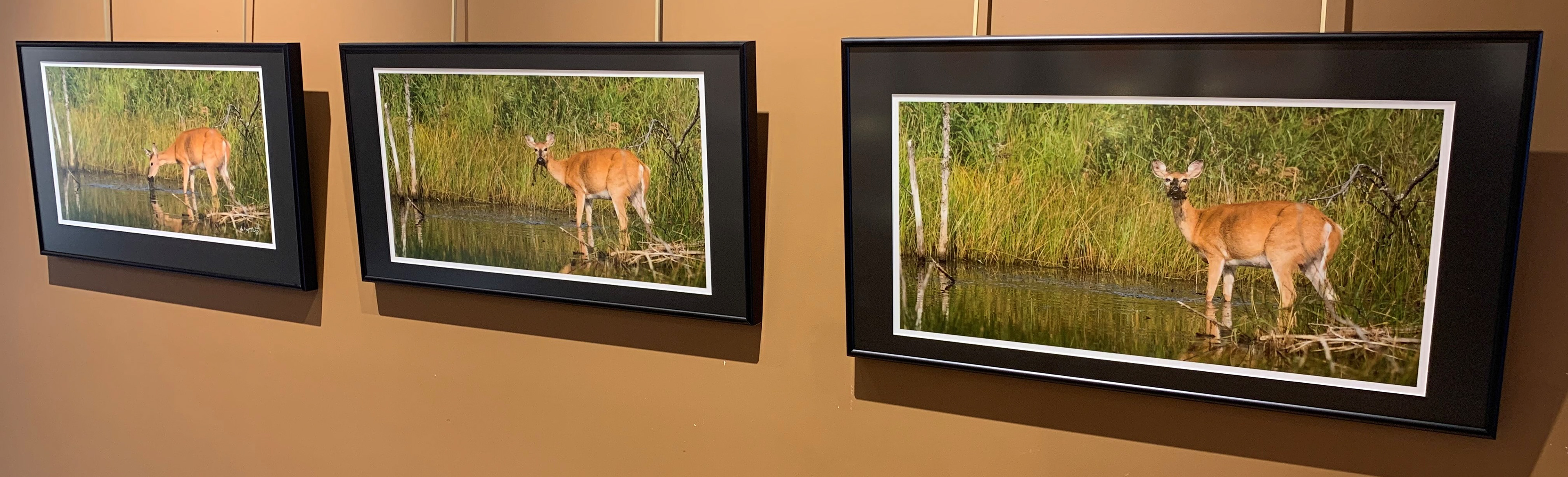 "Motionism II: Ups and Downs of Motherhood", Installation of 3 images 10x20" / The Eye Gallery, Nov-Dec 2021