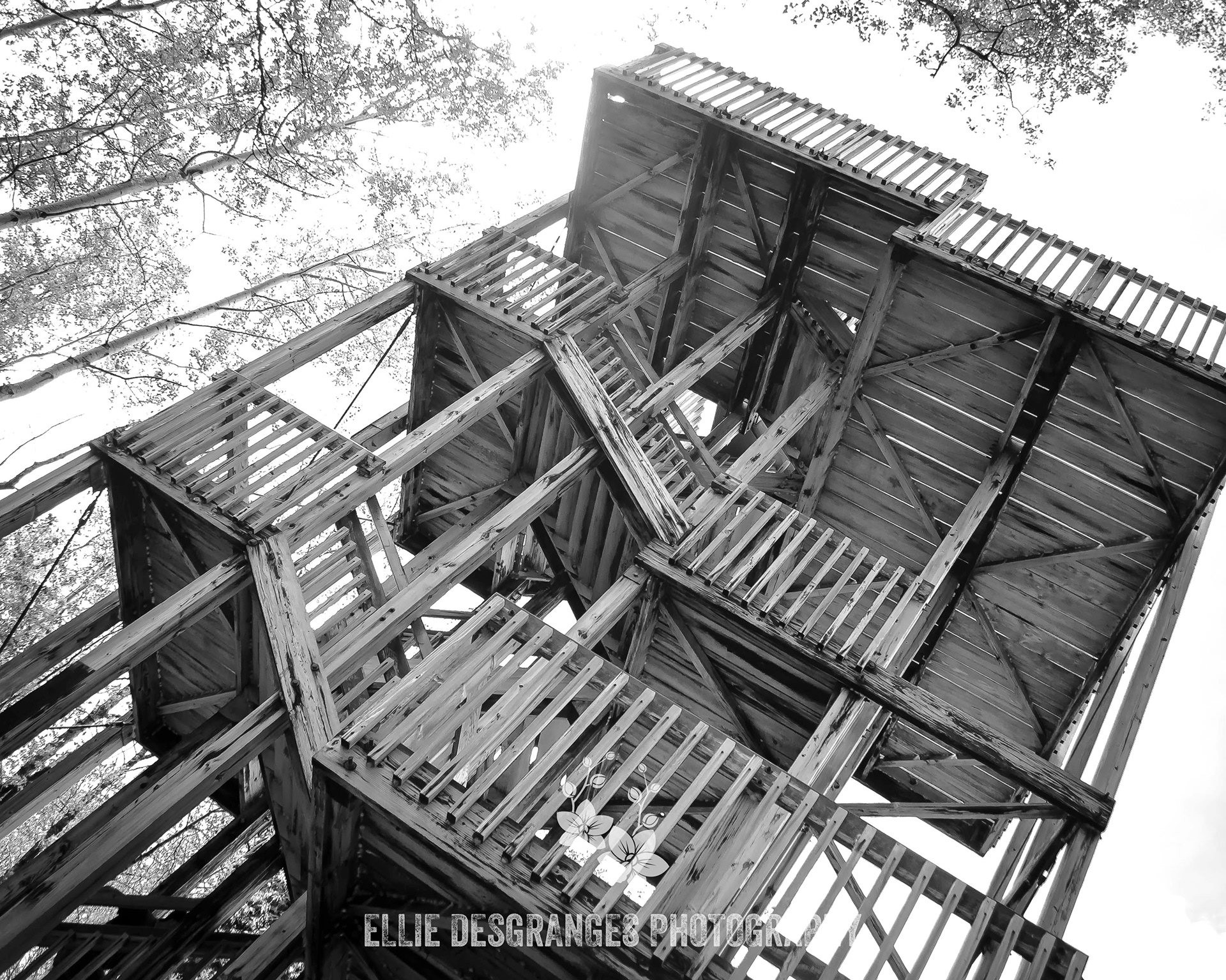 "Height-of-Land Lookout Tower", 8x10" / Height-of-Land Lookout Tower