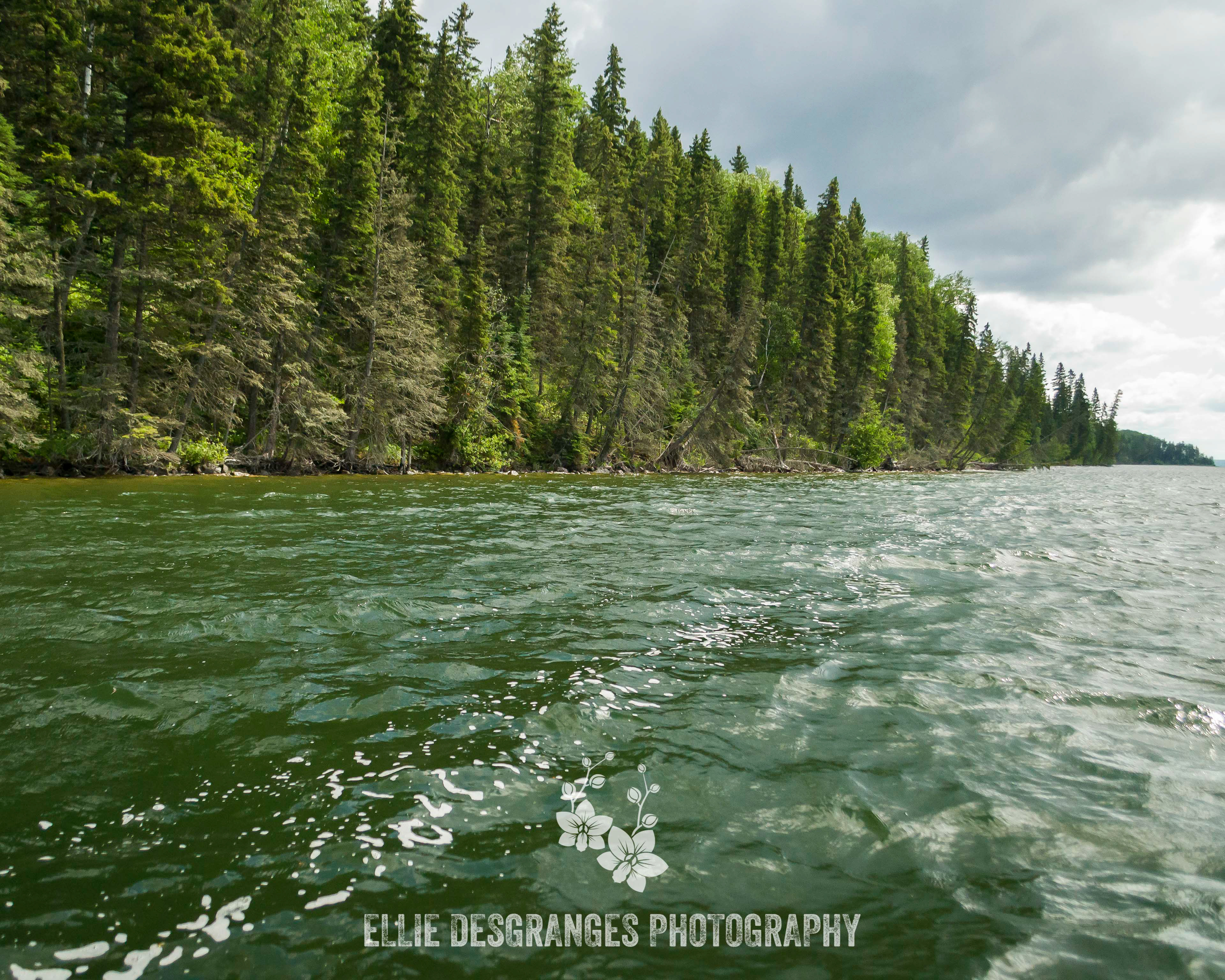 "Parallel Universe", 8x10" / Narrows (Waskesiu Lake)