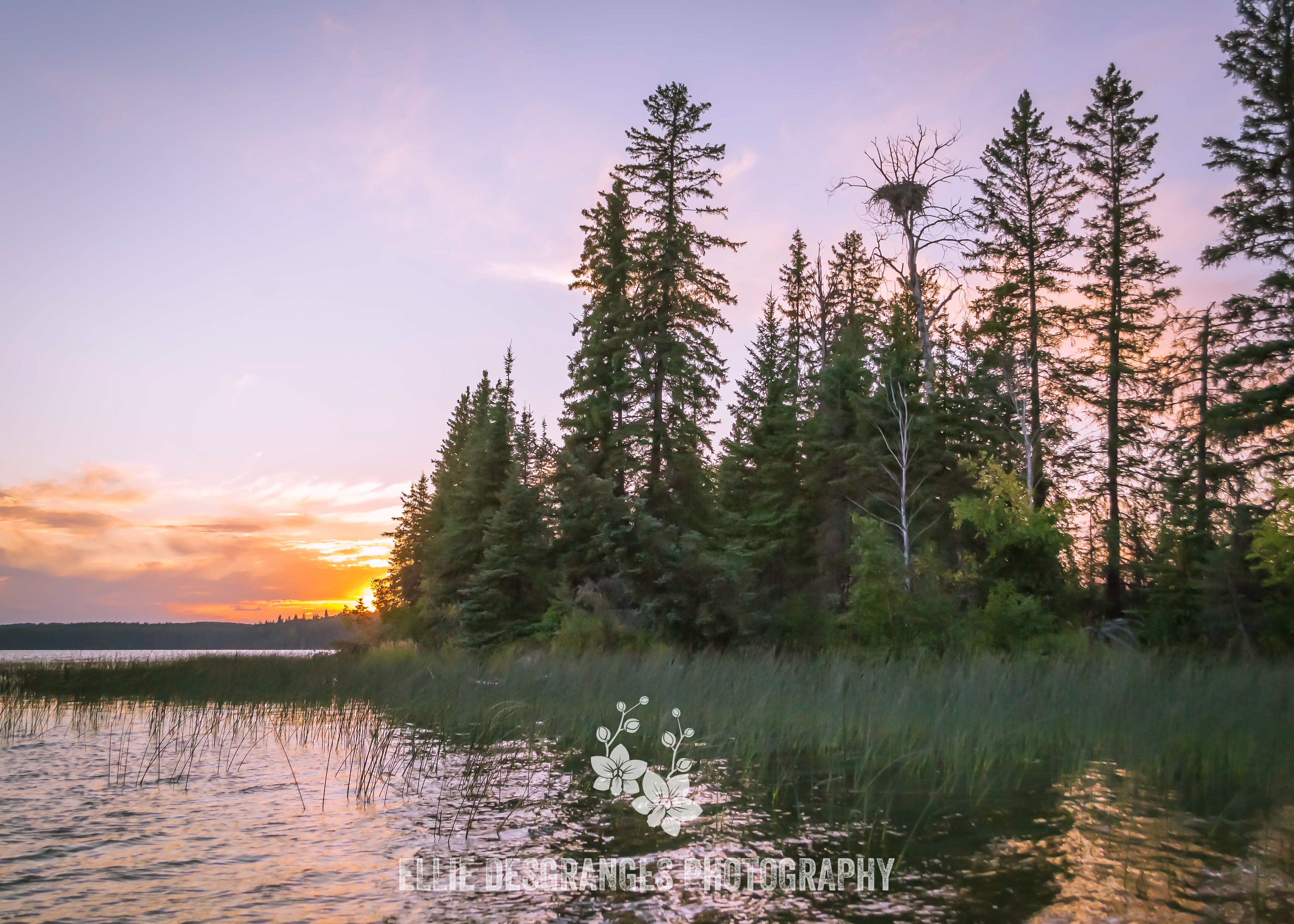 "Boreal by Definition", 5x7", 8x10" / Narrows (Waskesiu Lake)