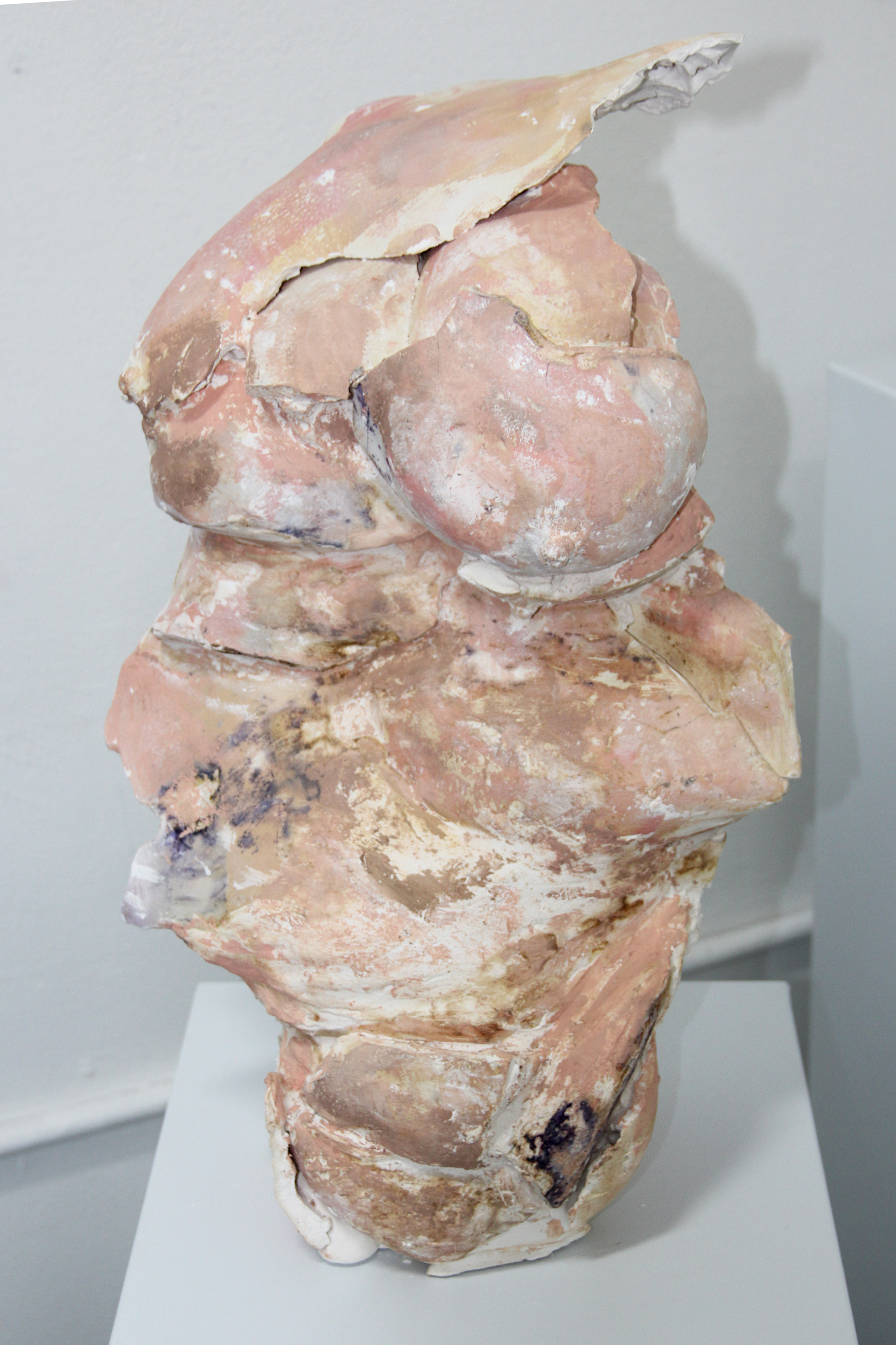 51cm x 25cm x 19cm