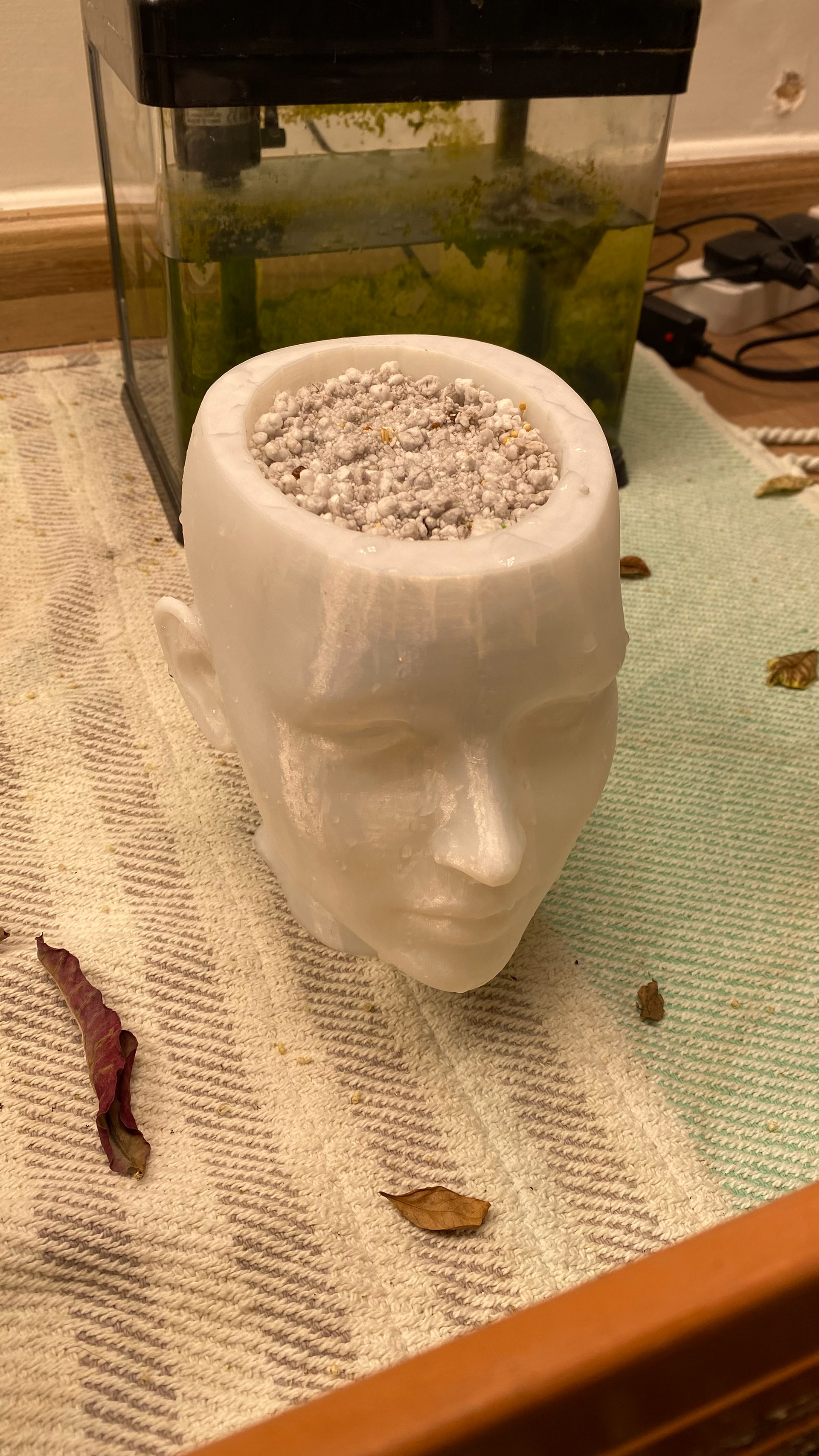 Trying perlite to grow