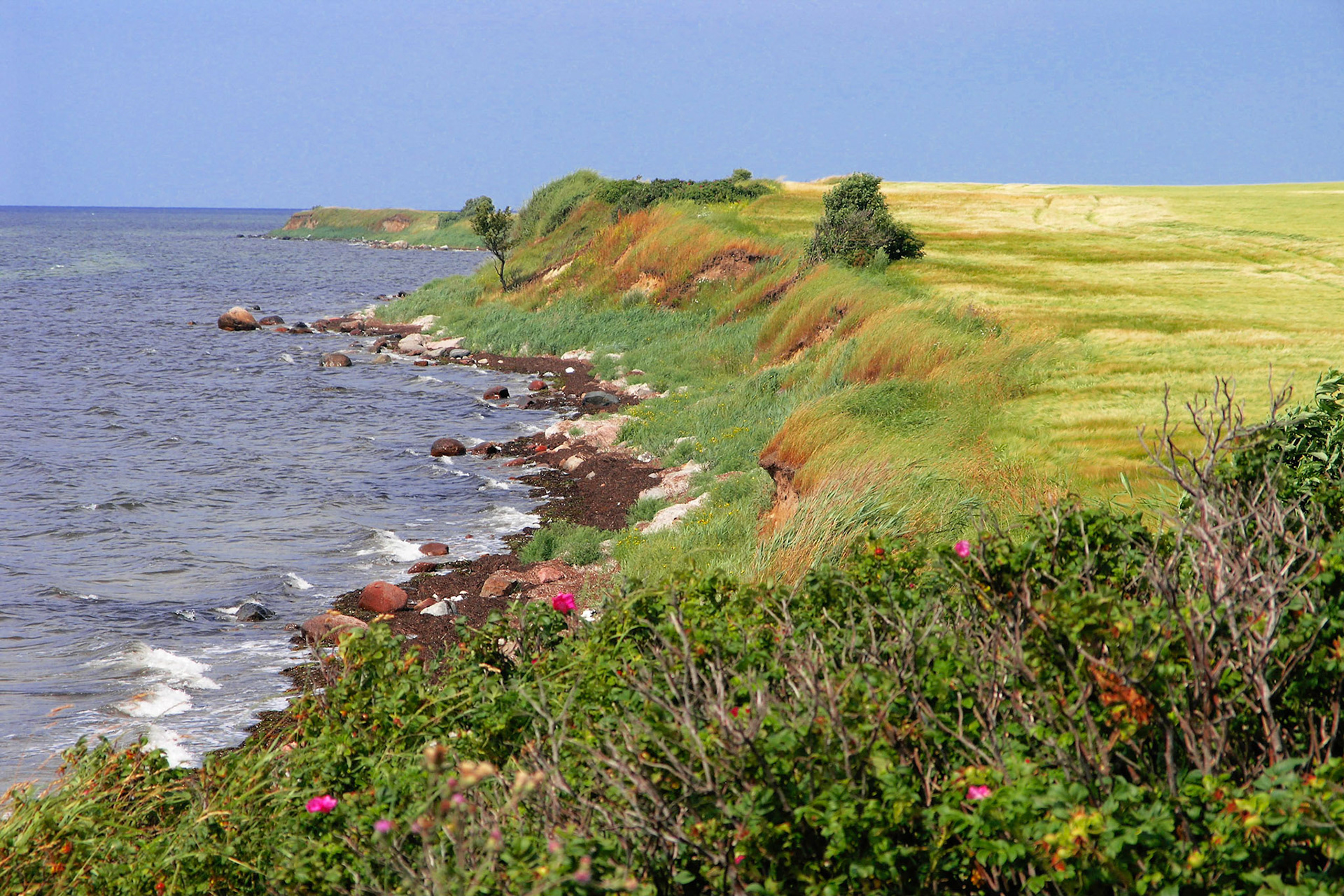strand Skalø