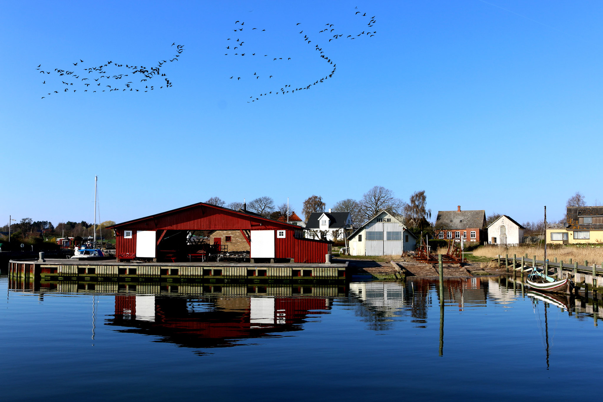 Aften Fejø dybvig haven