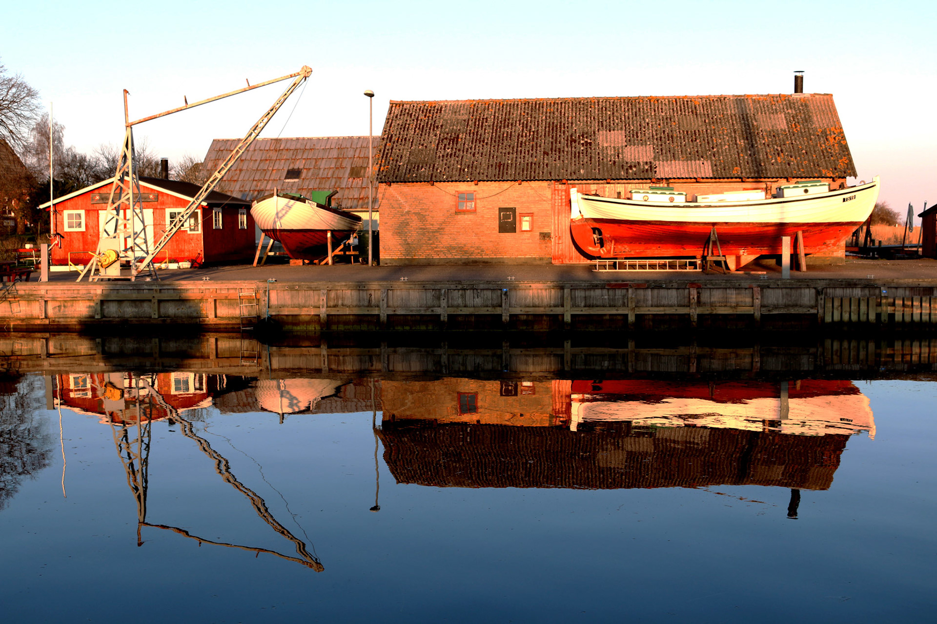 Aften Fejø dybvig haven