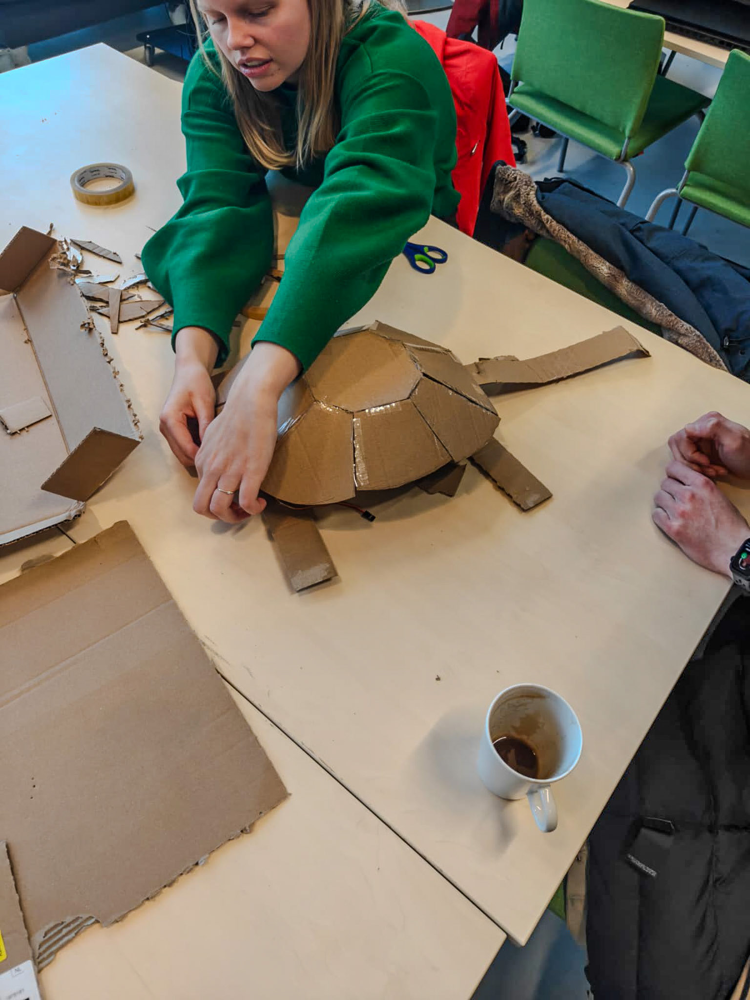 Figure 5. The turtle is almost finished.