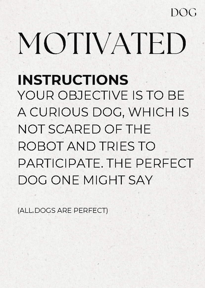 Figure 15. Physicalisation - First version of the scenario cards, dog 4.