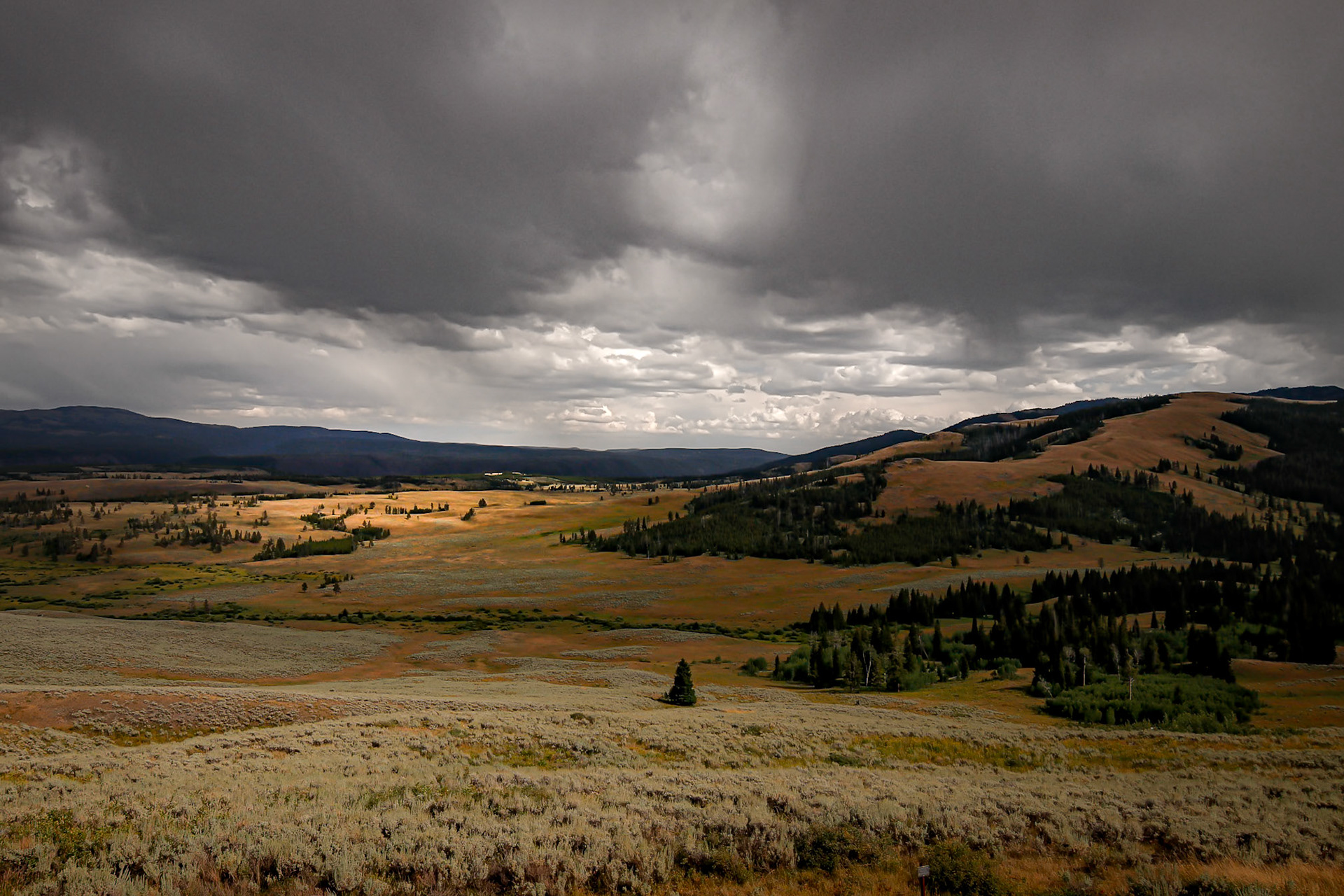 One of the many gorgeous hills and valleys of Yellowstone National Park