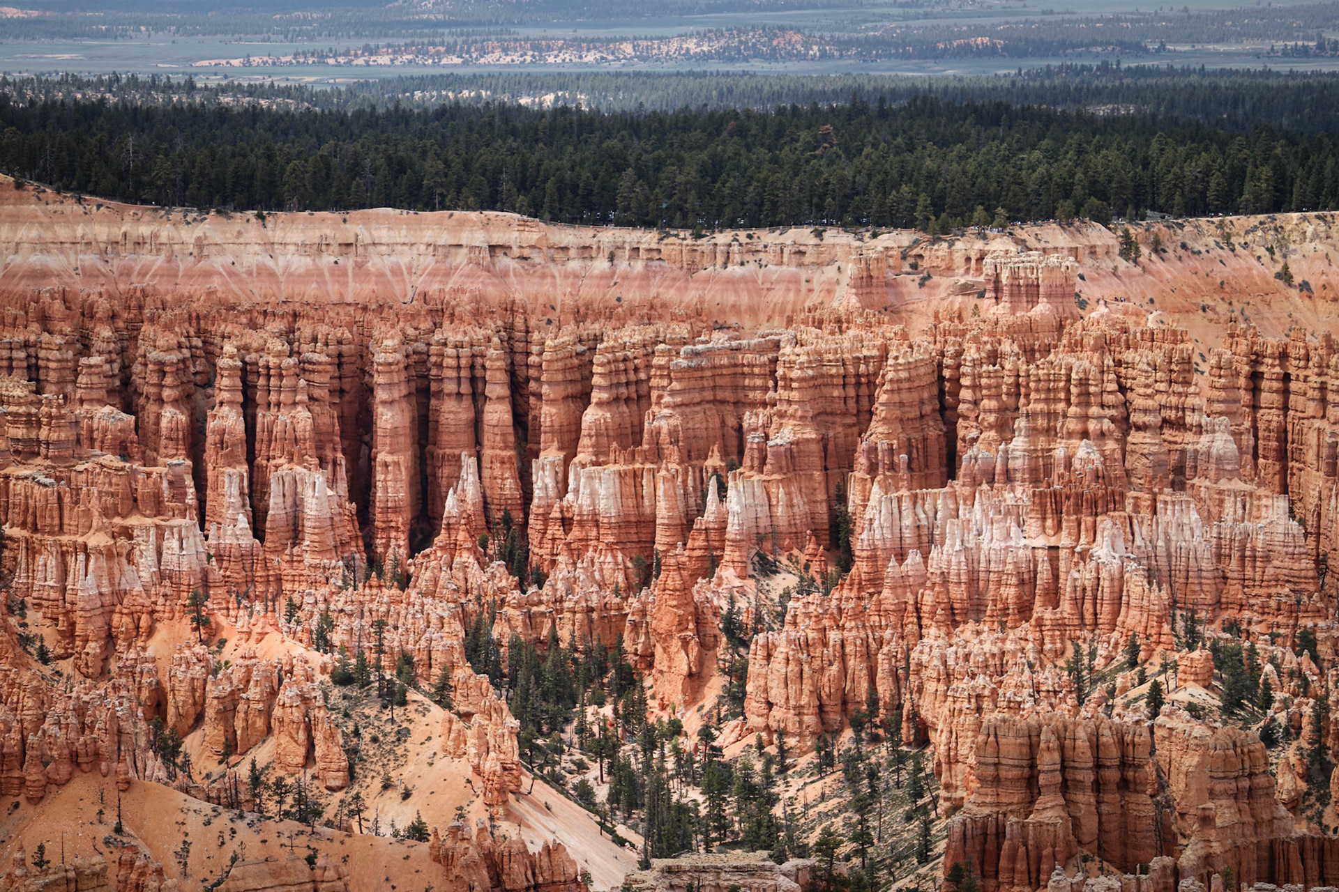 Bryce National Park