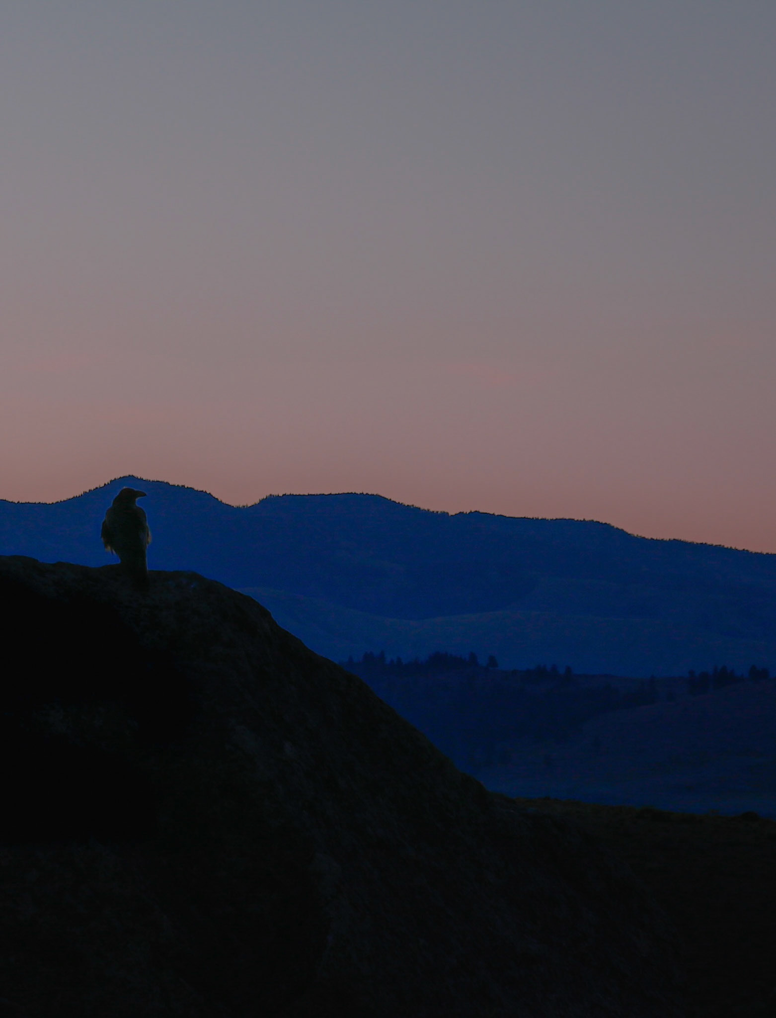 Sunrise contemplation