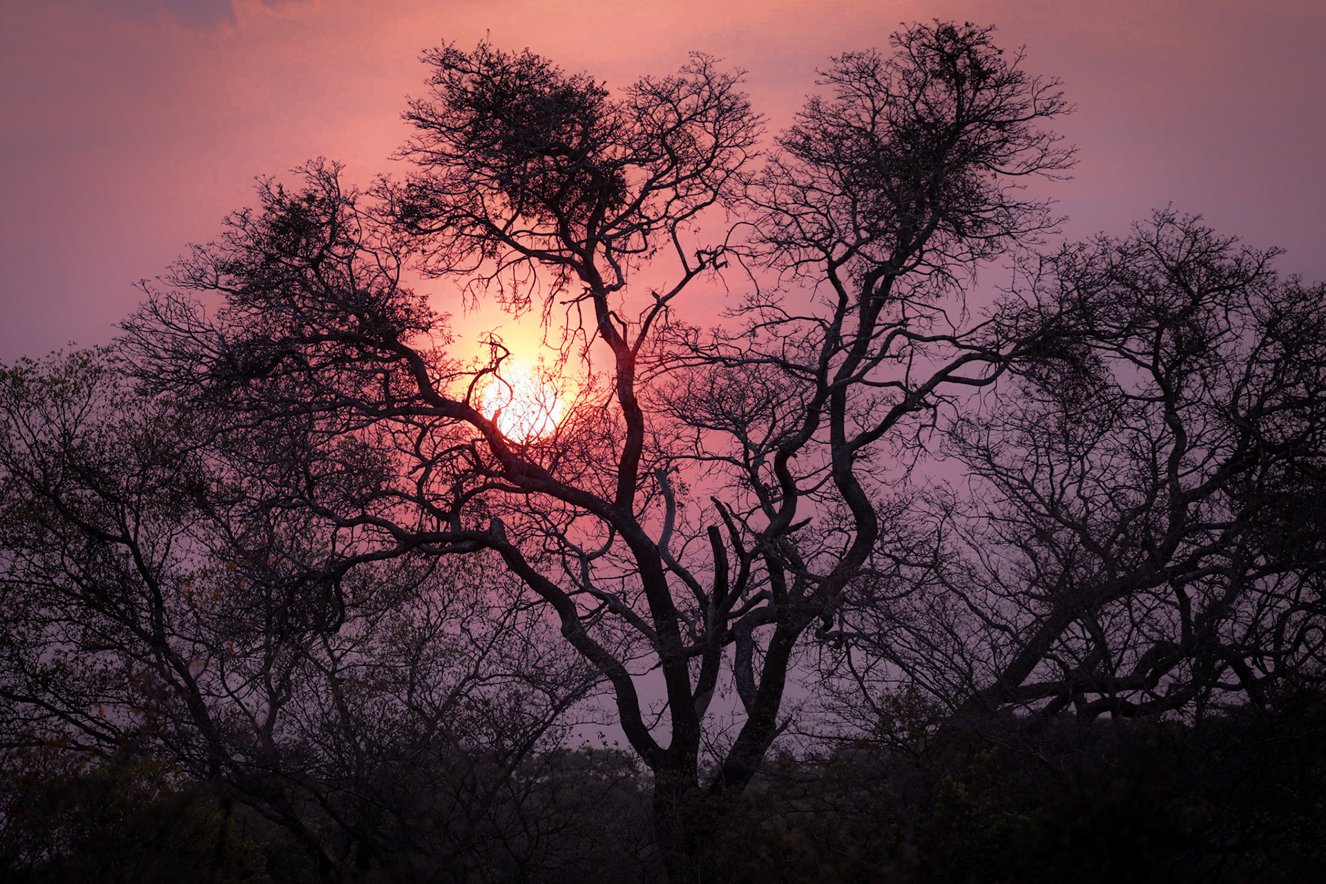 Zambia sunrise