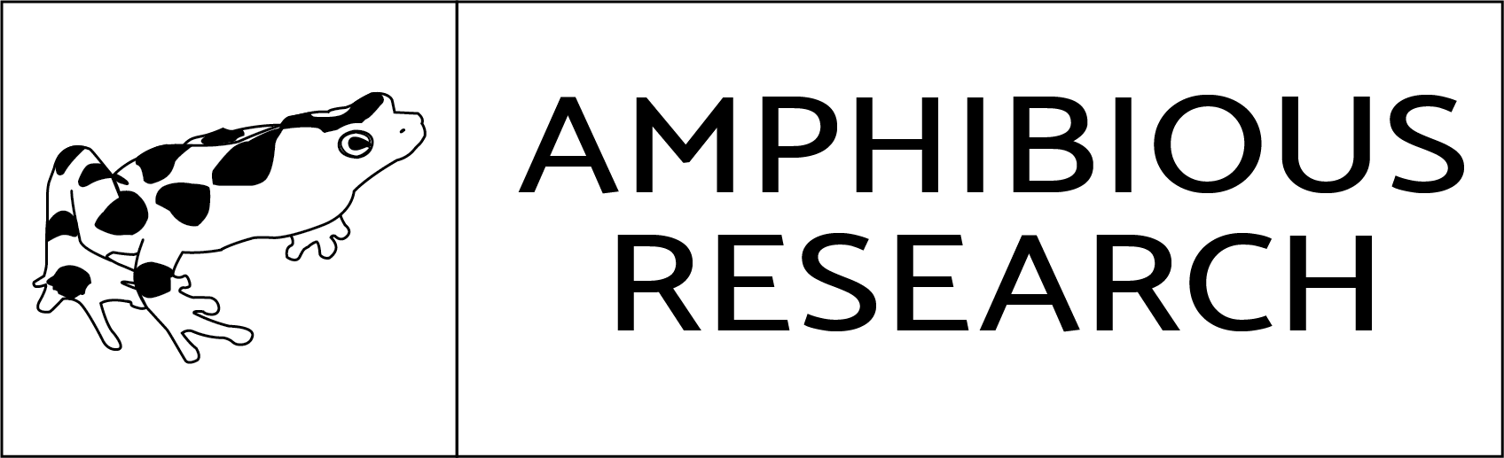 Branding for Assignment