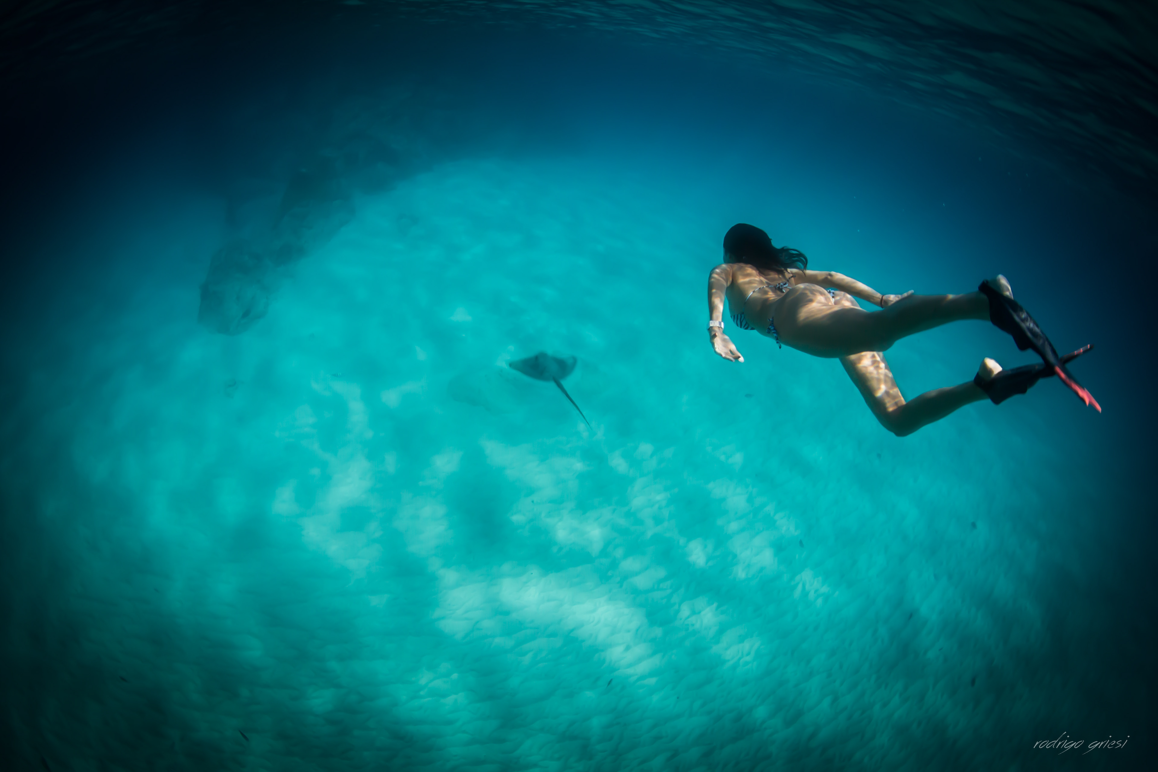 underwater friends