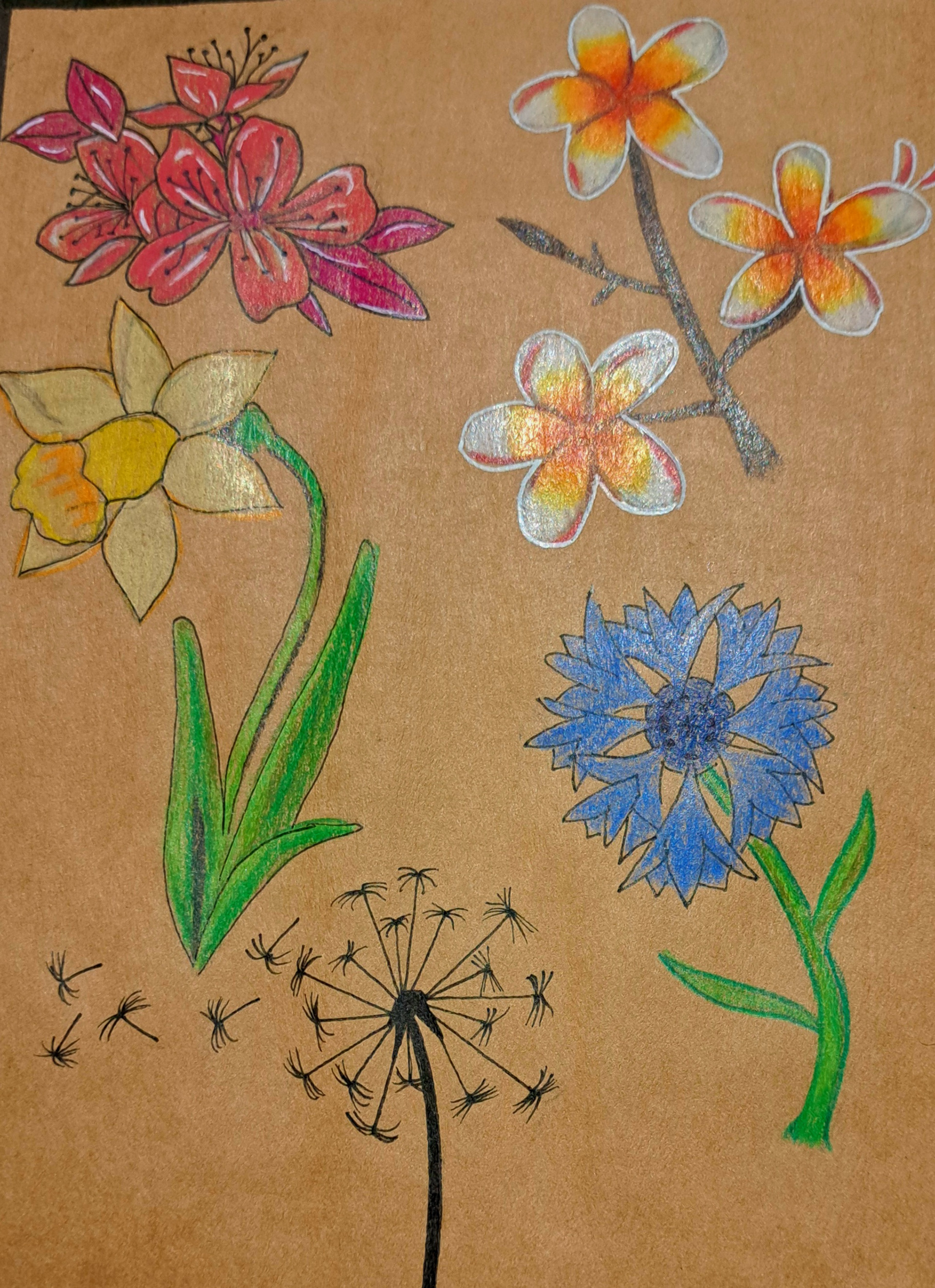 croquis de fleurs sur papier kraft