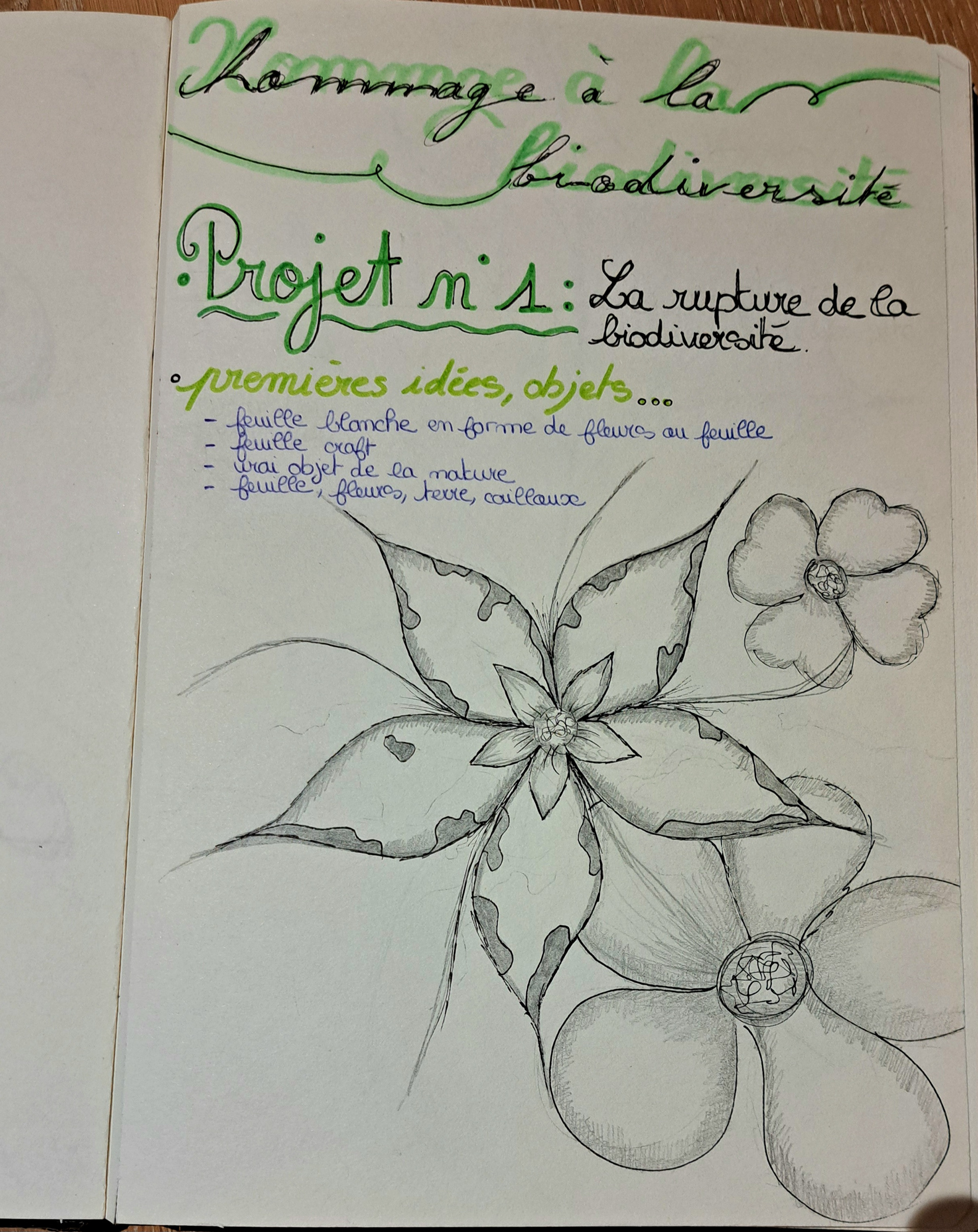 Projet "Hommage à la biodiversité"