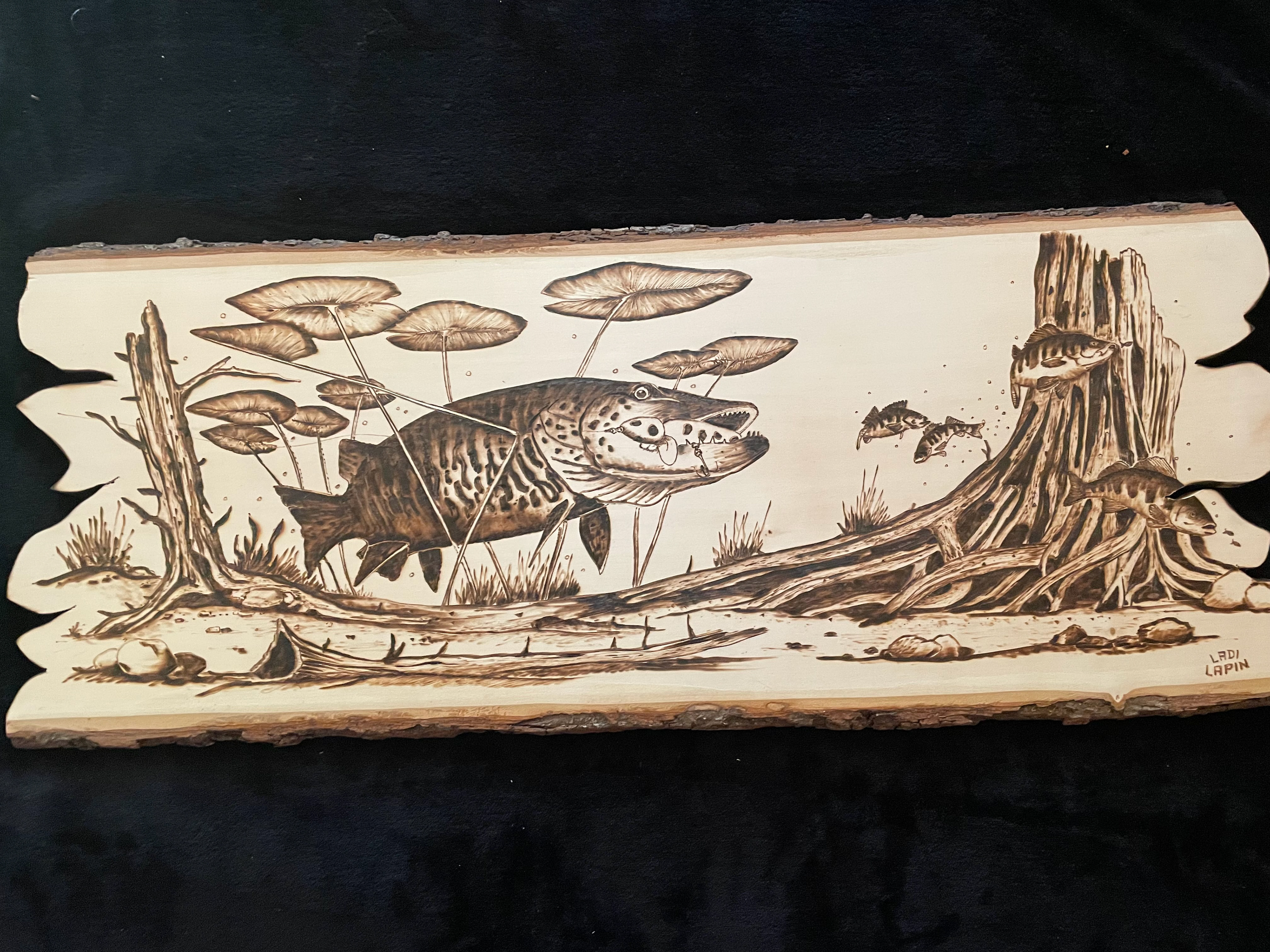 Bass Wood Burning 