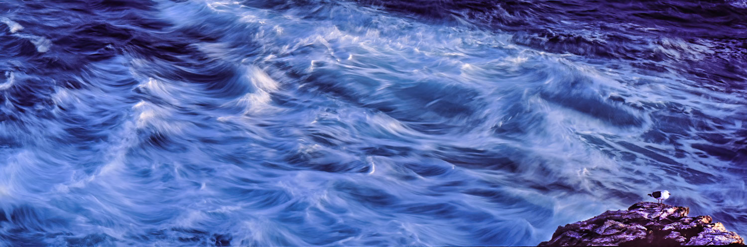 #1036 A Lone Seagull on a Rock with a Turbulent Sea Along the Big Sur Coast of California