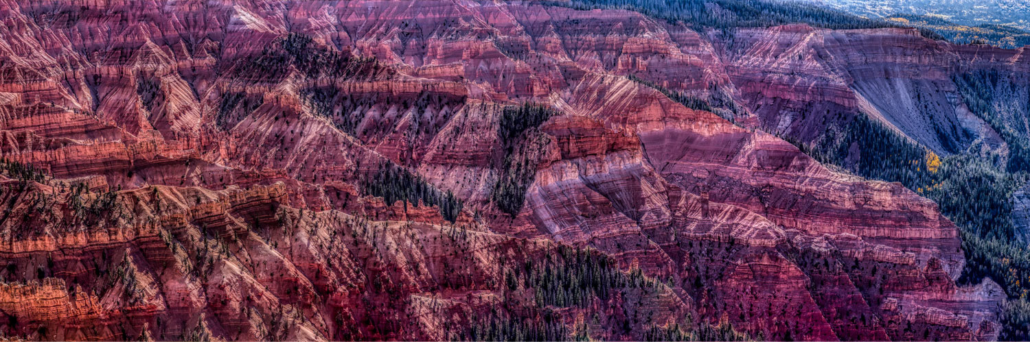 #1449 Amazing Patterns and Textures of Cedar Breaks National Monument in Utah