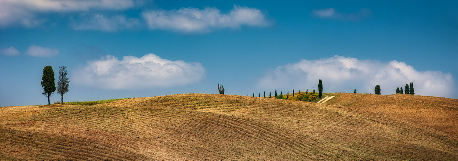 #2318 Rolling Hills Landscape in the Tuscany Region of Italy
