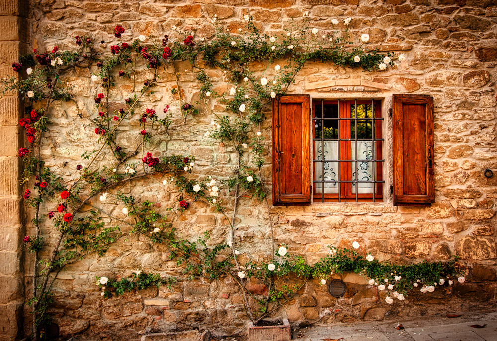 #4552 Volpaia, Italy