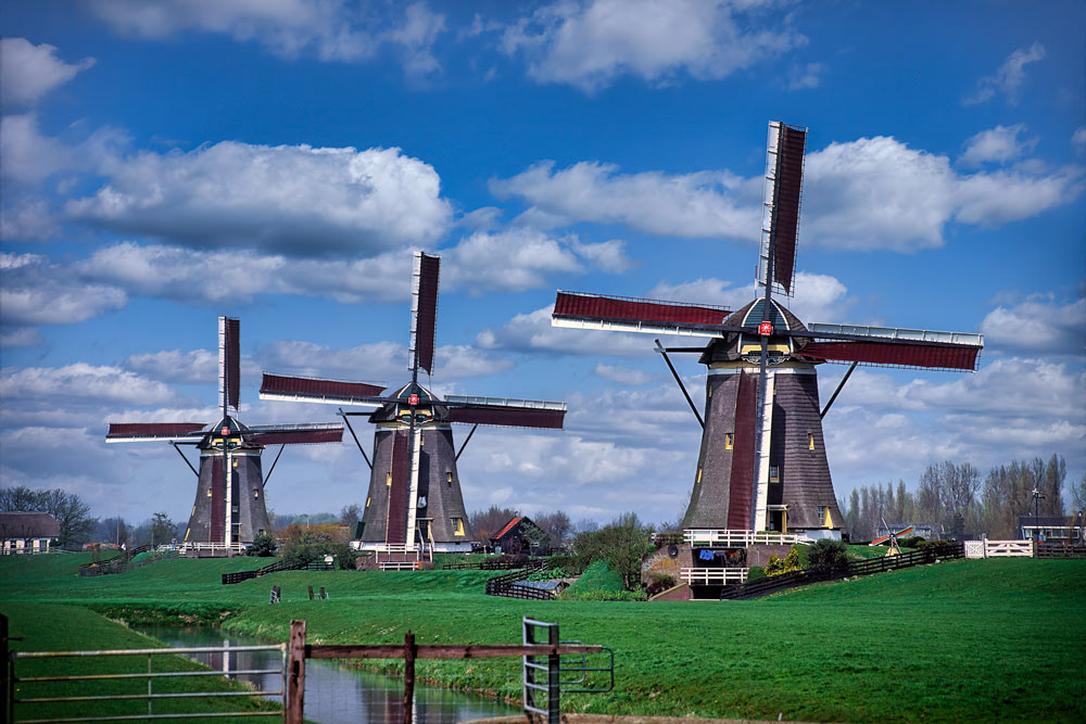 #2409 Windmills at Kinderdijk