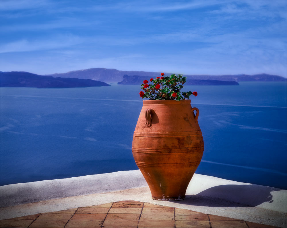 #2913 Vase with Flowers and Scenic Ocean View 