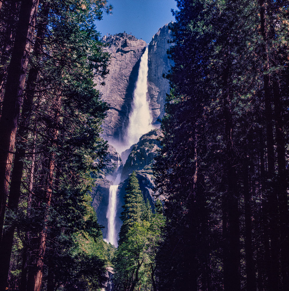 #1188 Yosemite Falls in Yosemite National Park