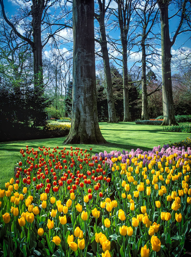 #2423 Keukenhof Gardens