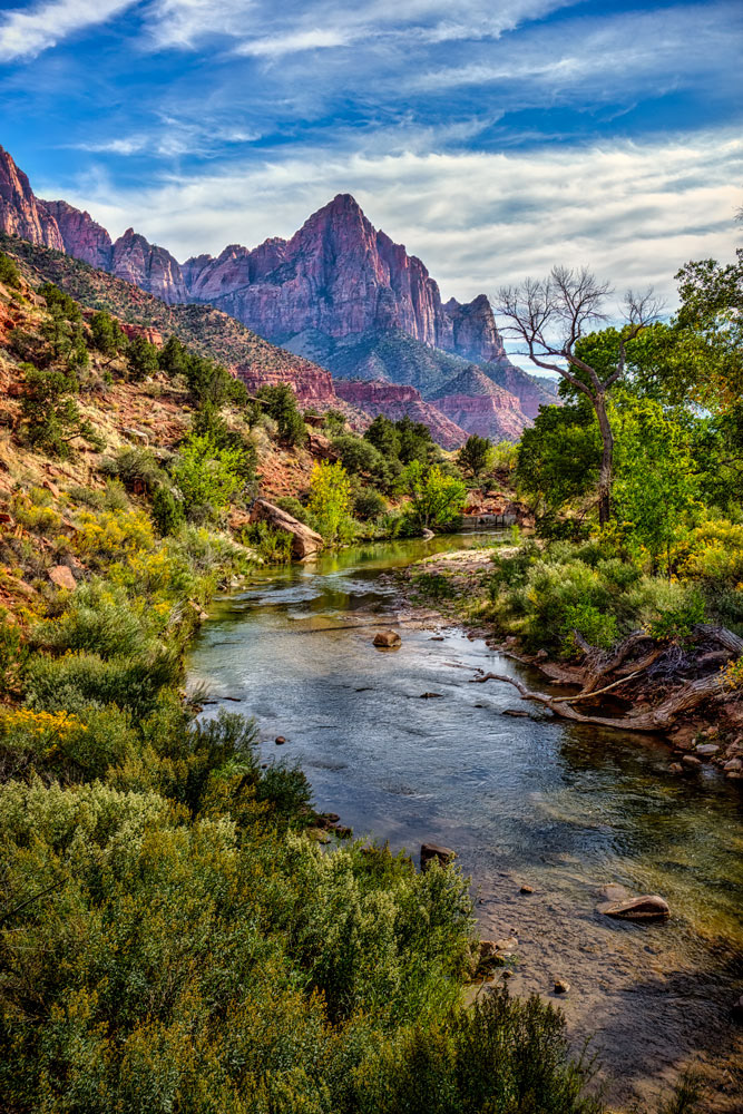 #1502 The Watchman (in the distance) and the Virgin River in Zion National Park
