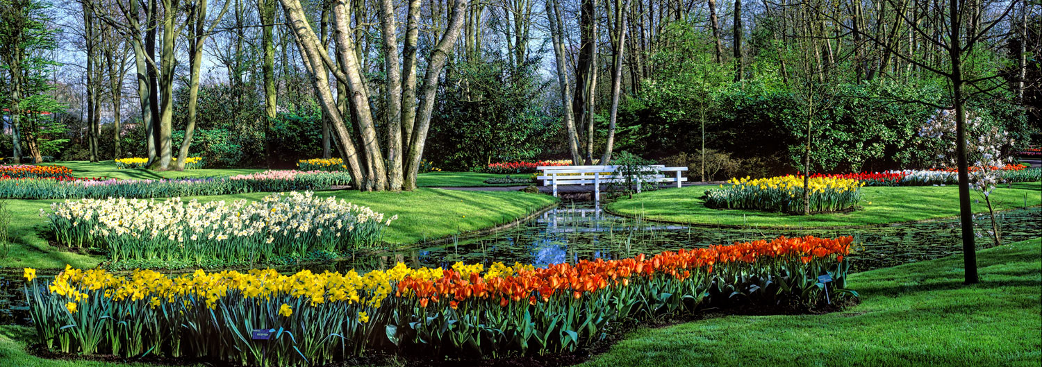 #2450 Flower Displays and Pond at Keukenhof Gardens in Holland