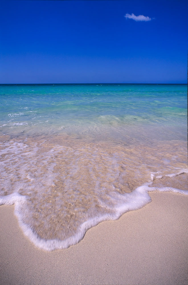 #4090 Tropical Beach