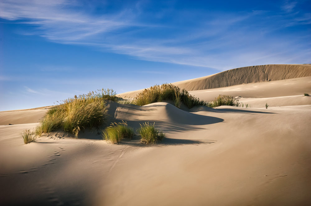 #1919 Oregon Dunes National Recreation Area