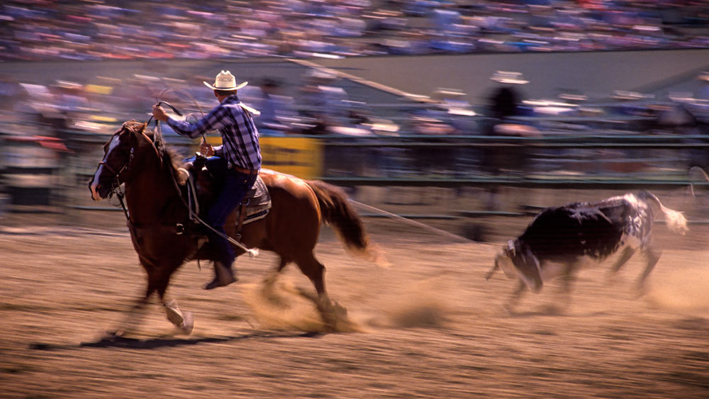 #4387 Individual Calf Roping