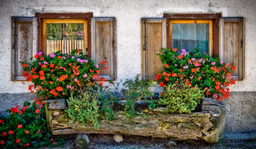 #4531 Dolomite Alps, Italy