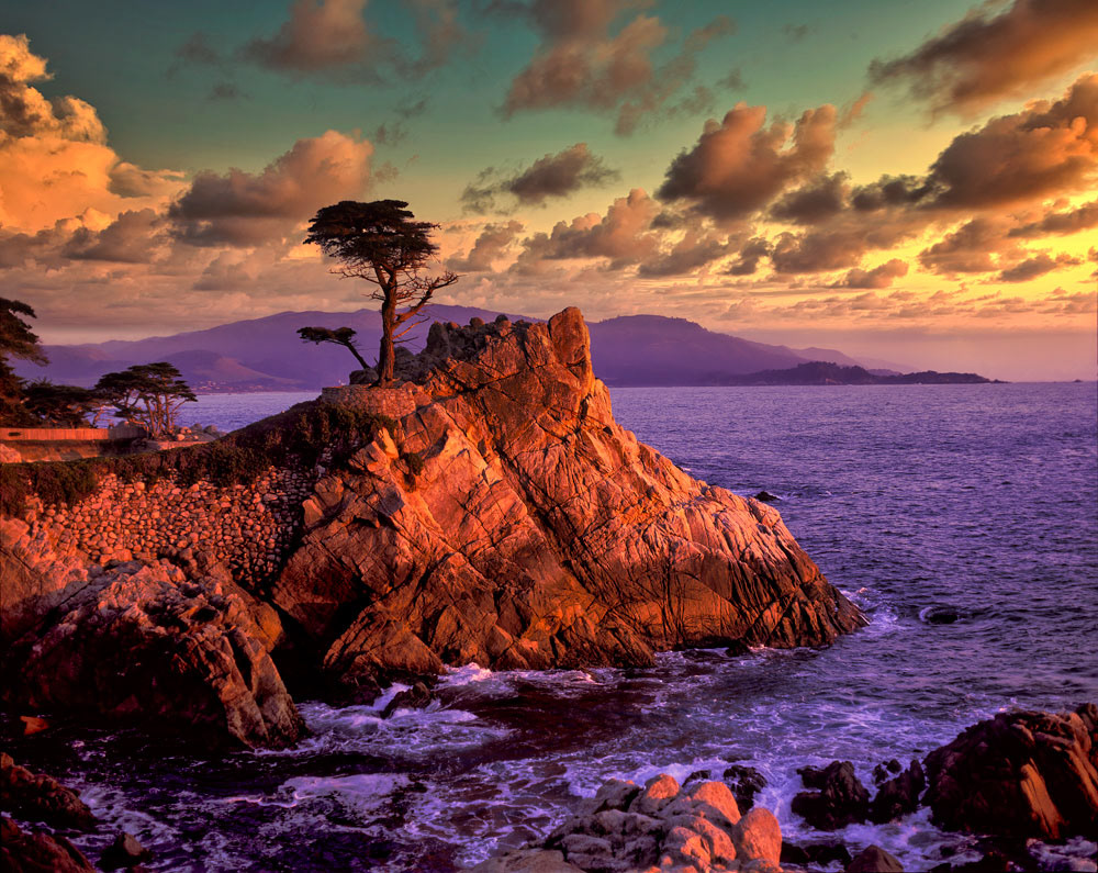 #1101 The famous Lone Cypress at Pebble Beach on the Monterey Peninsula