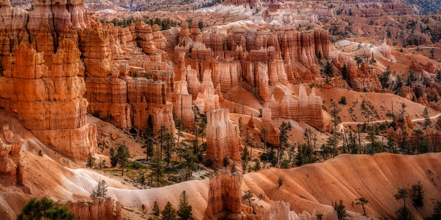 #1449 Hiking Trails in Bryce Canyon National Park