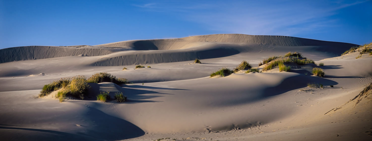 #1709B Oregon Dunes National Recreation Area