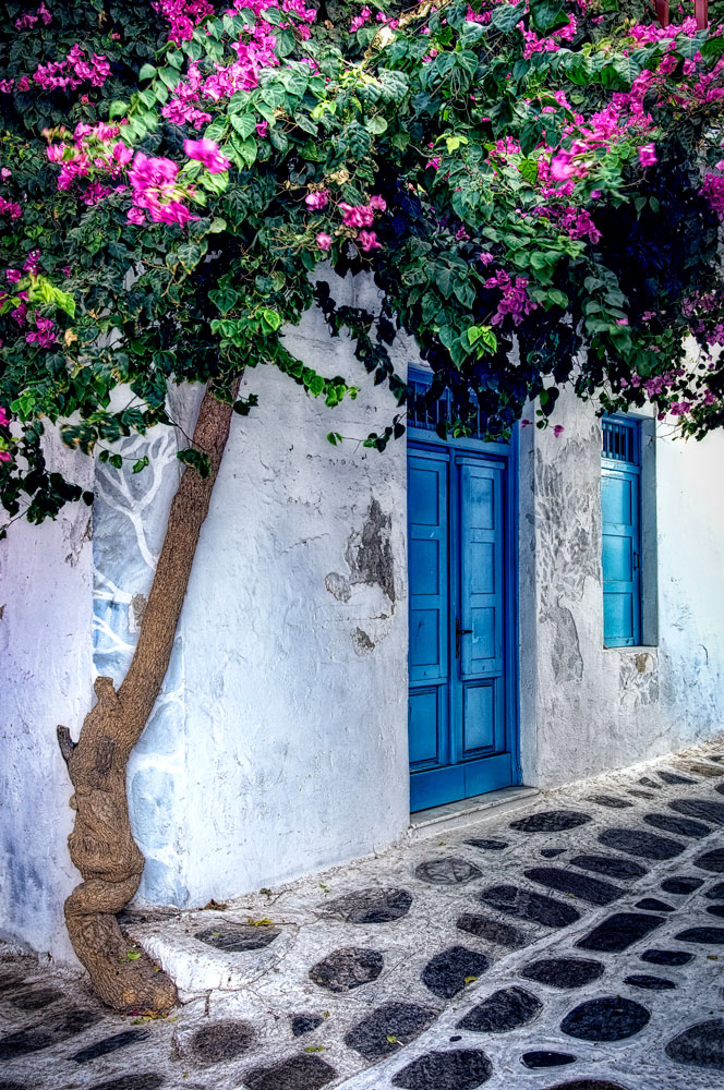 #2954 Blue Door and Bougainvilleas on the Island of Mykonos