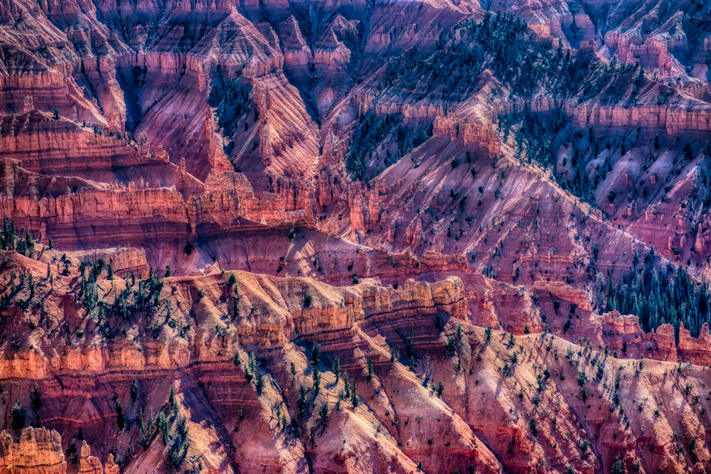 #1475 Amazing Patterns and Textures of Cedar Breaks National Monument